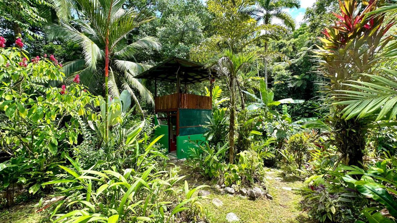 Casa Aire Libre Villa Puerto Jiménez Eksteriør bilde